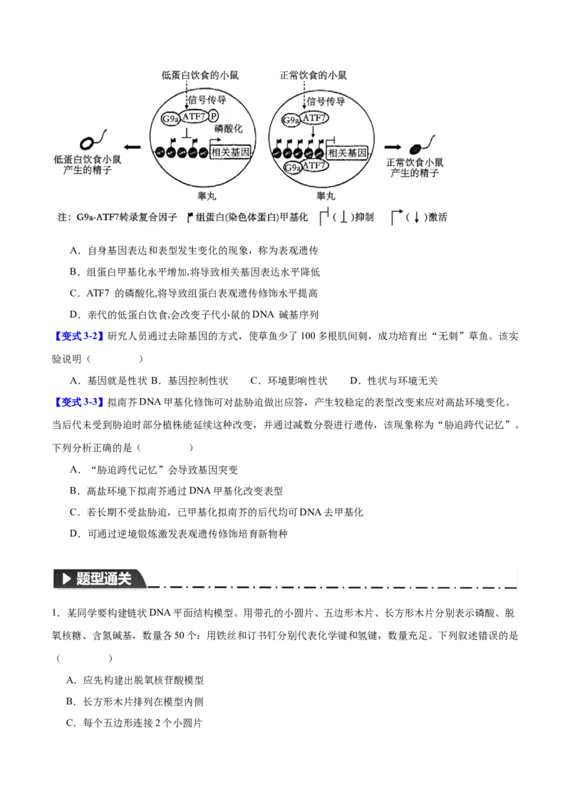专题五基因的本质与表达（原卷版）_2025年新高考资料_二轮复习_01高考语文等多个文件_举一反三2025年高考生物二轮重点专题讲义（新高考通用）