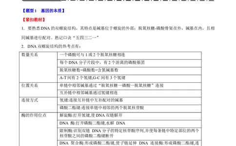 专题五基因的本质与表达（原卷版）_2025年新高考资料_二轮复习_01高考语文等多个文件_举一反三2025年高考生物二轮重点专题讲义（新高考通用）