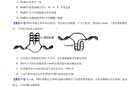 专题五基因的本质与表达（原卷版）_2025年新高考资料_二轮复习_01高考语文等多个文件_举一反三2025年高考生物二轮重点专题讲义（新高考通用）