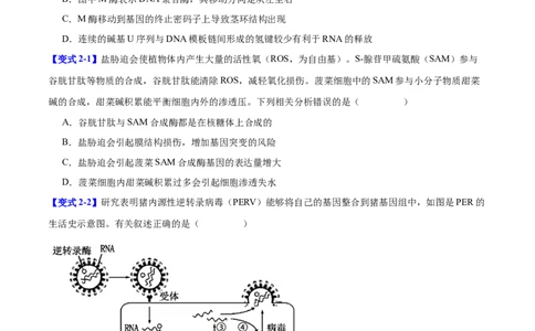 专题五基因的本质与表达（原卷版）_2025年新高考资料_二轮复习_01高考语文等多个文件_举一反三2025年高考生物二轮重点专题讲义（新高考通用）
