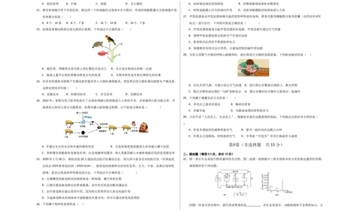 生物（泰州卷）（考试版A3）_初中全科电子版试卷练习试题_生物_2024中考模拟题生物(1)_一模_生物（泰州卷）-2024年中考第一次模拟考试