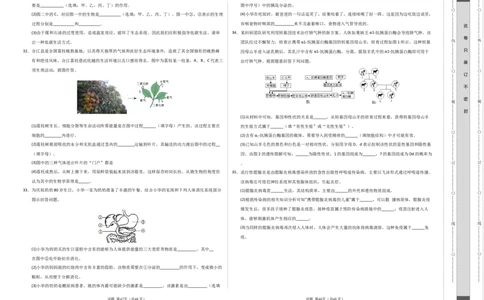 生物（泰州卷）（考试版A3）_初中全科电子版试卷练习试题_生物_2024中考模拟题生物(1)_一模_生物（泰州卷）-2024年中考第一次模拟考试