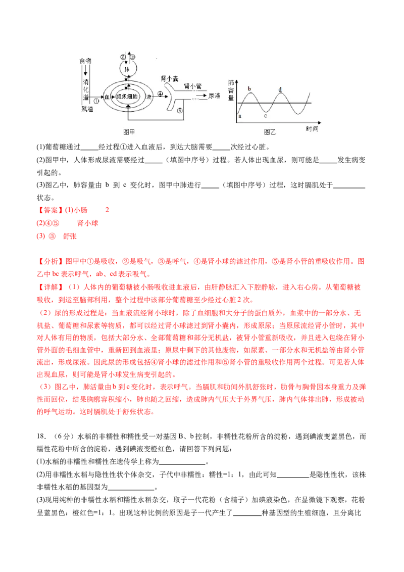生物（广西卷）（全解全析）_初中全科电子版试卷练习试题_生物_2024中考模拟题生物(1)_一模_生物（广西卷）-2024年中考第一次模拟考试