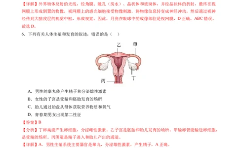 生物（广西卷）（全解全析）_初中全科电子版试卷练习试题_生物_2024中考模拟题生物(1)_一模_生物（广西卷）-2024年中考第一次模拟考试