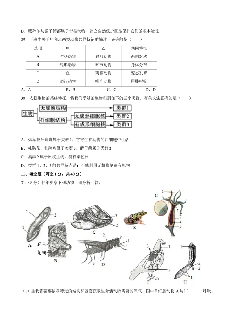 八年级上册生物期中测试03（原卷版）_初中全科电子版试卷练习试题_生物_生物8上练习_人教生物8年级上期中试卷08份