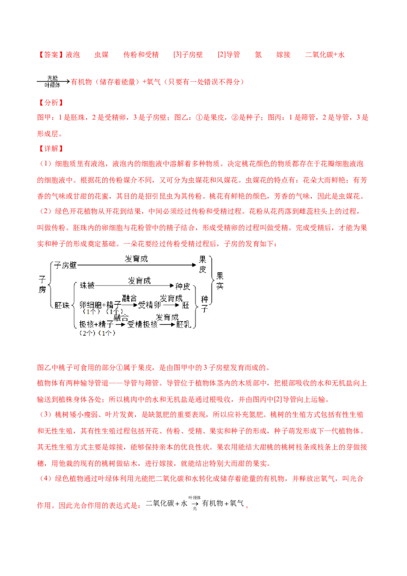 第07单元第01章生物的生殖和发育单元测试（B卷&middot;提升能力）（解析版）_初中全科电子版试卷练习试题_生物_生物8下练习_人教生物8年级下单元试卷38份