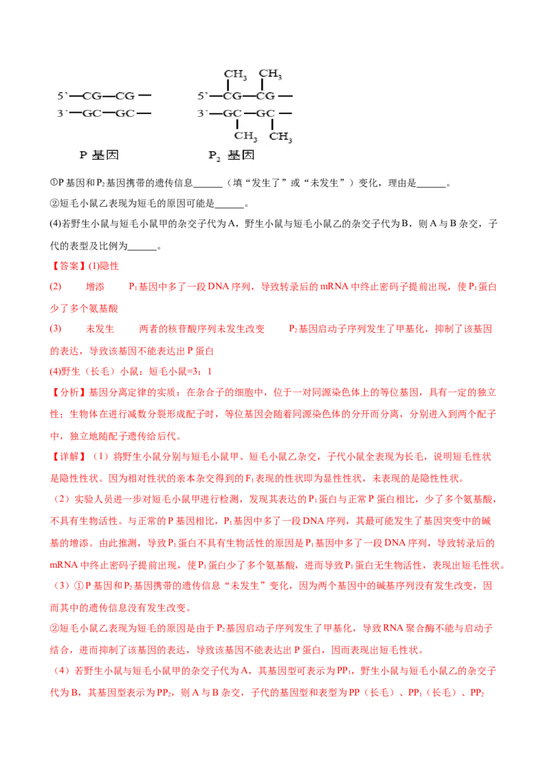 专题三细胞的生命历程（解析版）_2025年新高考资料_二轮复习_01高考语文等多个文件_举一反三2025年高考生物二轮重点专题讲义（新高考通用）