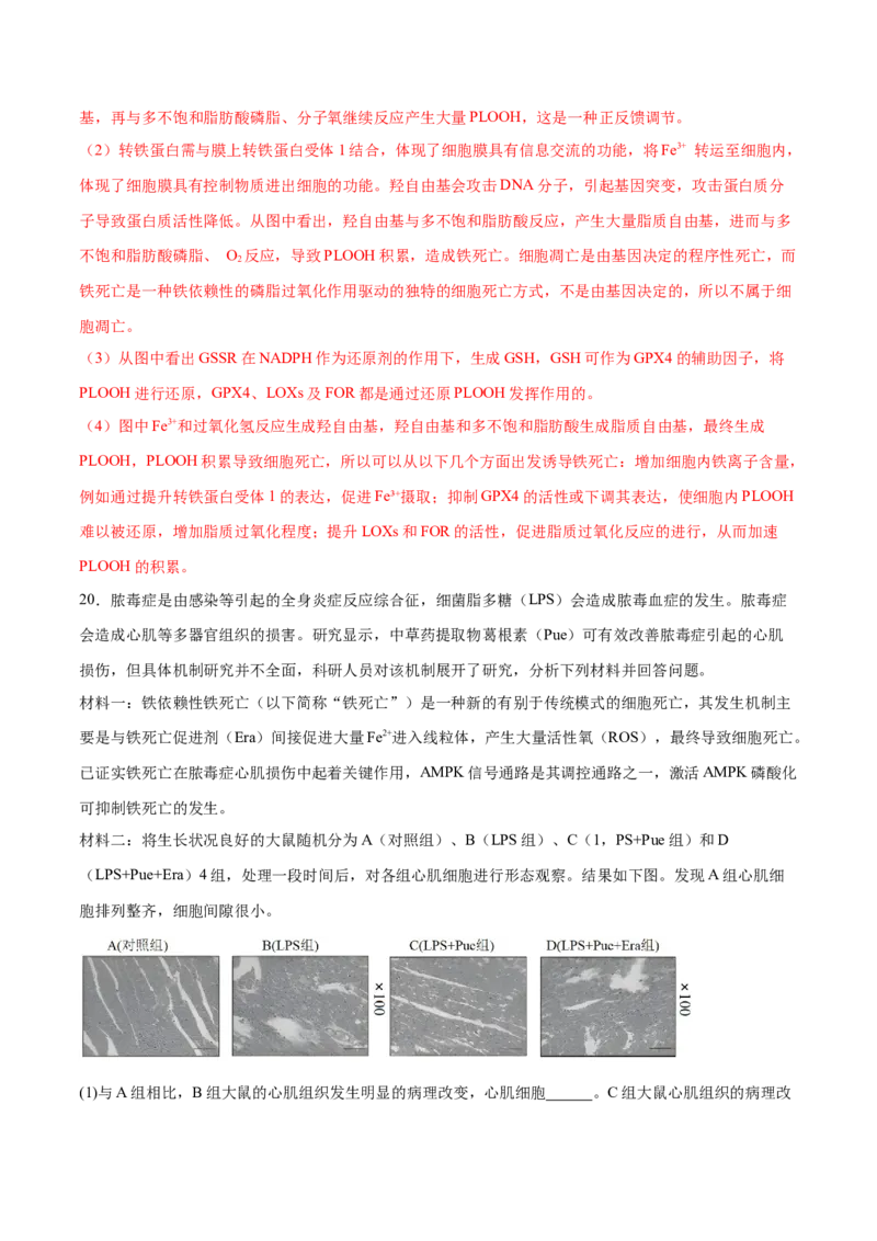 专题三细胞的生命历程（解析版）_2025年新高考资料_二轮复习_01高考语文等多个文件_举一反三2025年高考生物二轮重点专题讲义（新高考通用）