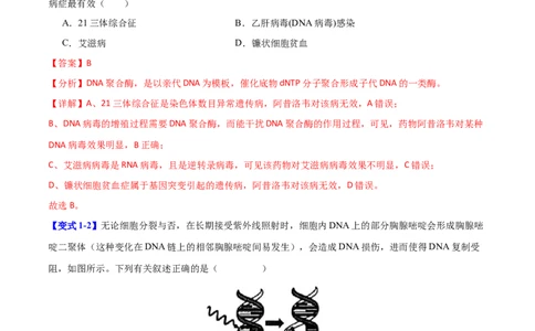 专题三细胞的生命历程（解析版）_2025年新高考资料_二轮复习_01高考语文等多个文件_举一反三2025年高考生物二轮重点专题讲义（新高考通用）