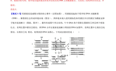 专题三细胞的生命历程（解析版）_2025年新高考资料_二轮复习_01高考语文等多个文件_举一反三2025年高考生物二轮重点专题讲义（新高考通用）