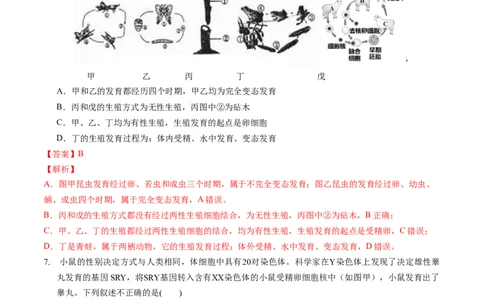 生物（湖北卷）（全解全析）_初中全科电子版试卷练习试题_生物_2024中考模拟题生物(1)_一模_生物（湖北卷）-2024年中考第一次模拟考试