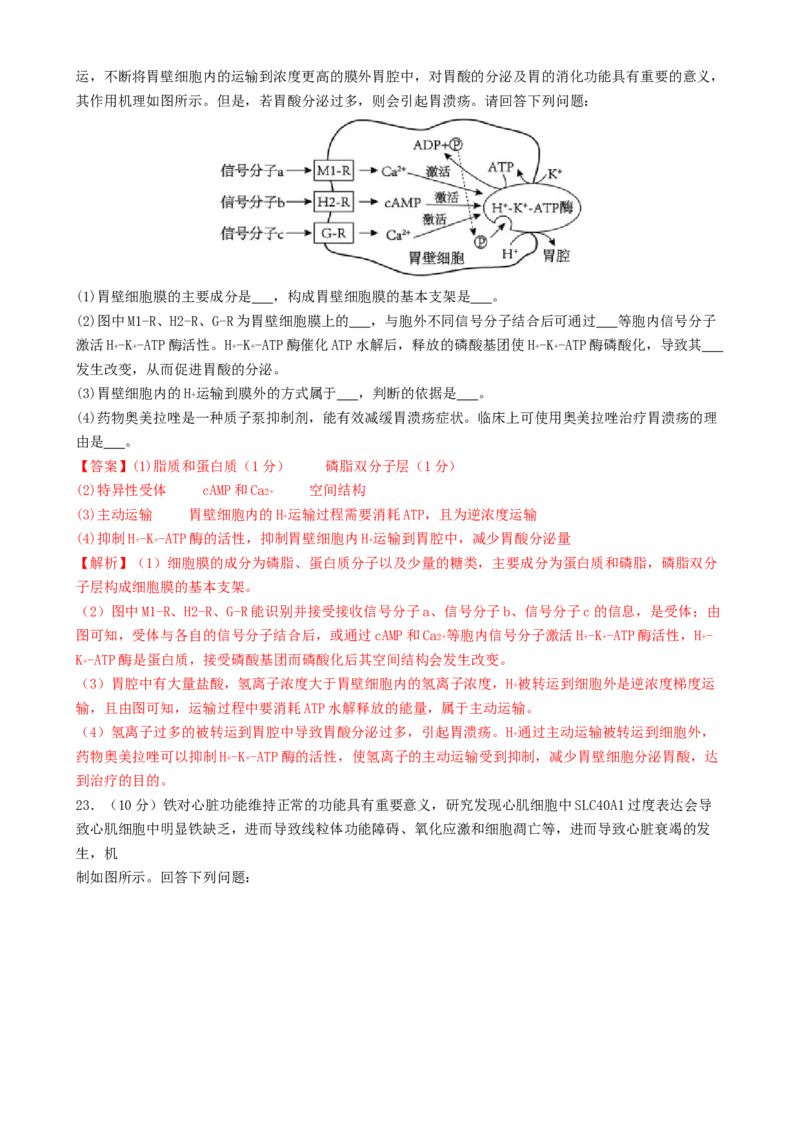 专题二细胞的能量供应和利用（解析版）_2025年新高考资料_二轮复习_01高考语文等多个文件_上好课2025年高考生物二轮复习讲练测（新高考通用）