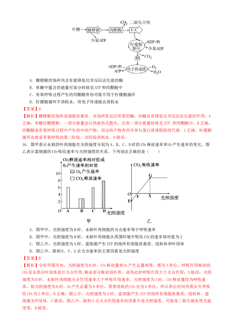 专题二细胞的能量供应和利用（解析版）_2025年新高考资料_二轮复习_01高考语文等多个文件_上好课2025年高考生物二轮复习讲练测（新高考通用）