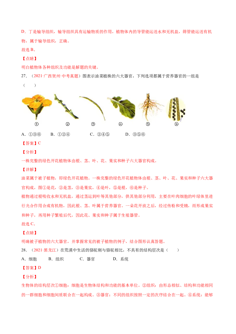 期中测试（B卷&middot;提升能力）（解析版）_初中全科电子版试卷练习试题_生物_生物人教版7上练习&mdash;24新版已更新_人教生物7年级上期中试卷07份