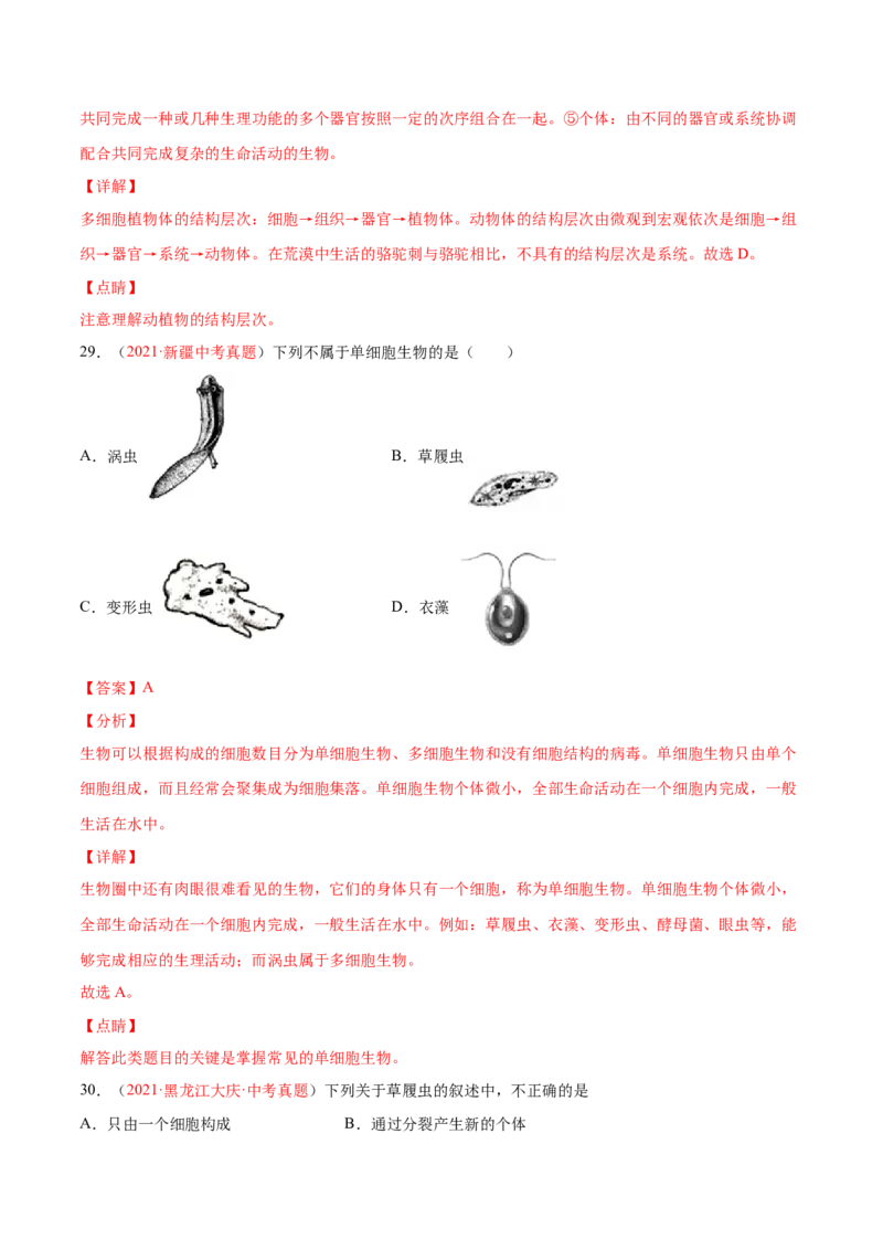 期中测试（B卷&middot;提升能力）（解析版）_初中全科电子版试卷练习试题_生物_生物人教版7上练习&mdash;24新版已更新_人教生物7年级上期中试卷07份