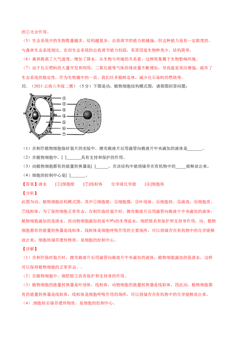 期中测试（B卷&middot;提升能力）（解析版）_初中全科电子版试卷练习试题_生物_生物人教版7上练习&mdash;24新版已更新_人教生物7年级上期中试卷07份