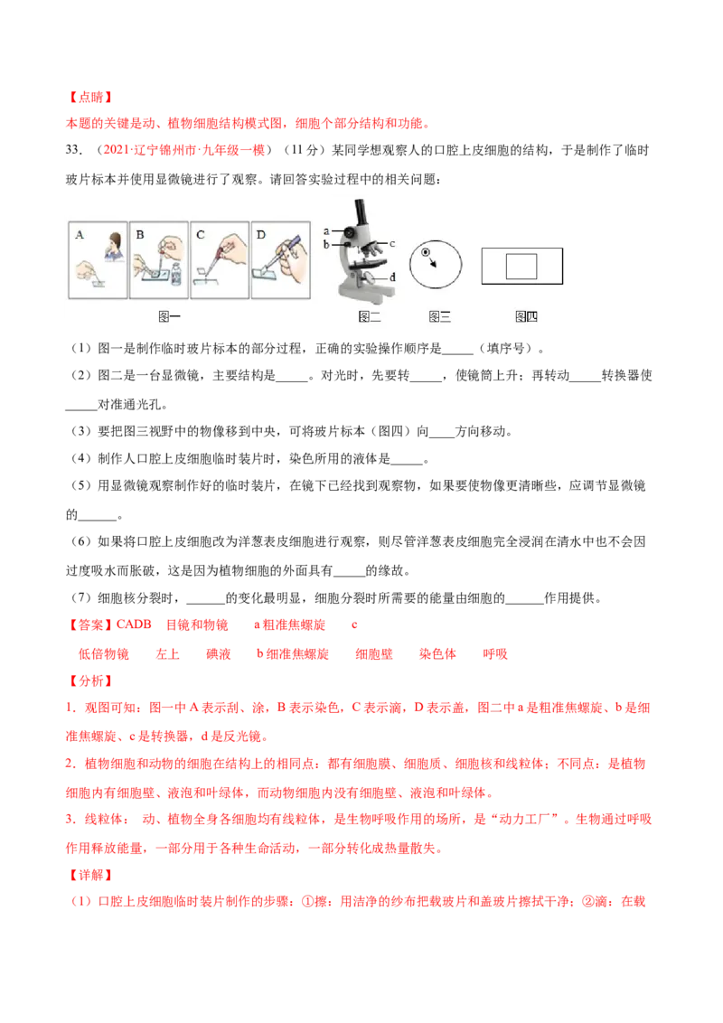 期中测试（B卷&middot;提升能力）（解析版）_初中全科电子版试卷练习试题_生物_生物人教版7上练习&mdash;24新版已更新_人教生物7年级上期中试卷07份