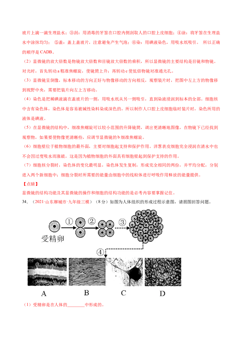 期中测试（B卷&middot;提升能力）（解析版）_初中全科电子版试卷练习试题_生物_生物人教版7上练习&mdash;24新版已更新_人教生物7年级上期中试卷07份