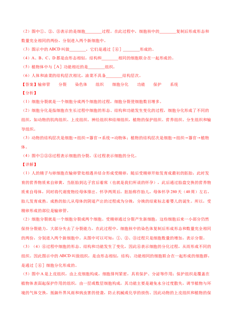 期中测试（B卷&middot;提升能力）（解析版）_初中全科电子版试卷练习试题_生物_生物人教版7上练习&mdash;24新版已更新_人教生物7年级上期中试卷07份