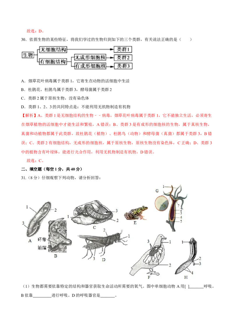 八年级上册生物期中测试03（解析版）_初中全科电子版试卷练习试题_生物_生物8上练习_人教生物8年级上期中试卷08份