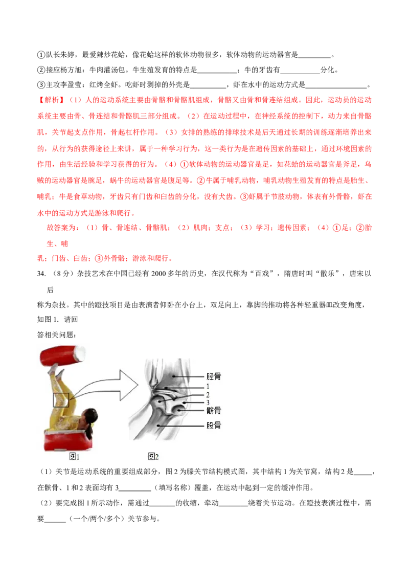 八年级上册生物期中测试03（解析版）_初中全科电子版试卷练习试题_生物_生物8上练习_人教生物8年级上期中试卷08份