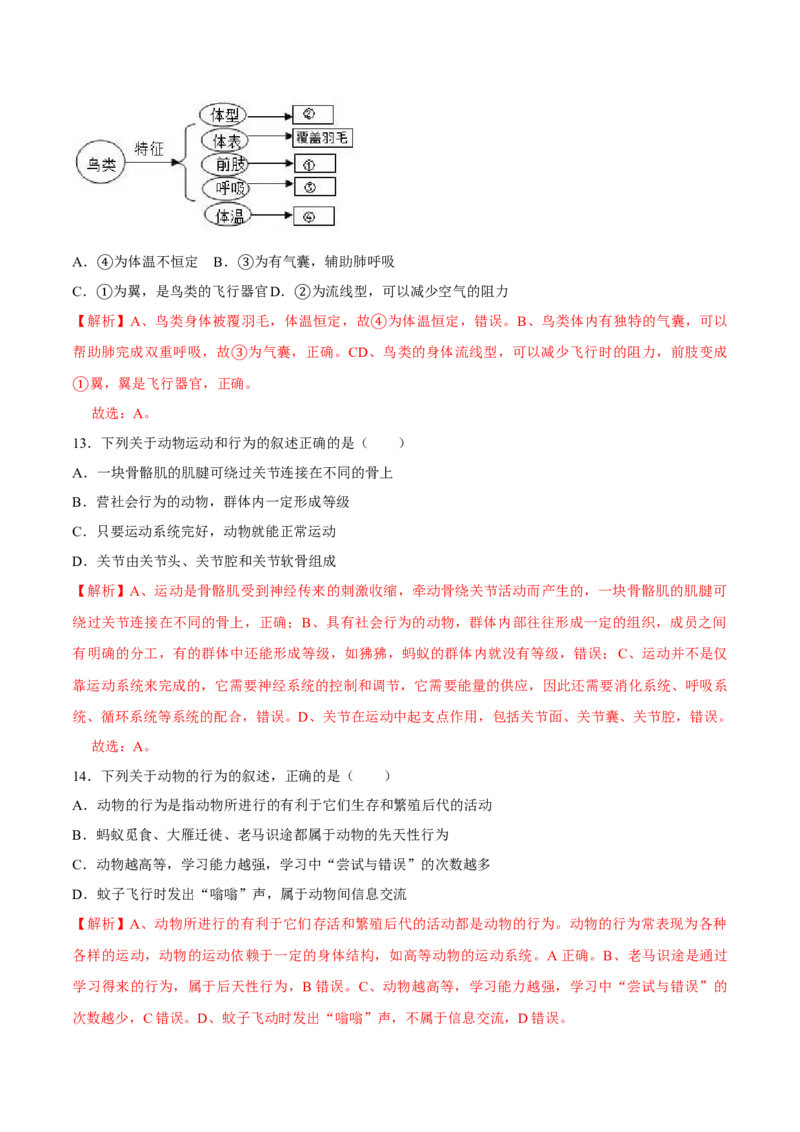 八年级上册生物期中测试03（解析版）_初中全科电子版试卷练习试题_生物_生物8上练习_人教生物8年级上期中试卷08份