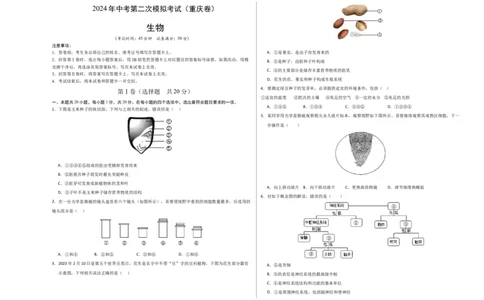 生物（重庆卷）（考试版A3）_初中全科电子版试卷练习试题_生物_2024中考模拟题生物(1)_二模_生物（重庆卷）-：2024年中考第二次模拟考试