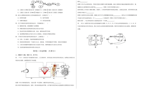 生物（重庆卷）（考试版A3）_初中全科电子版试卷练习试题_生物_2024中考模拟题生物(1)_二模_生物（重庆卷）-：2024年中考第二次模拟考试