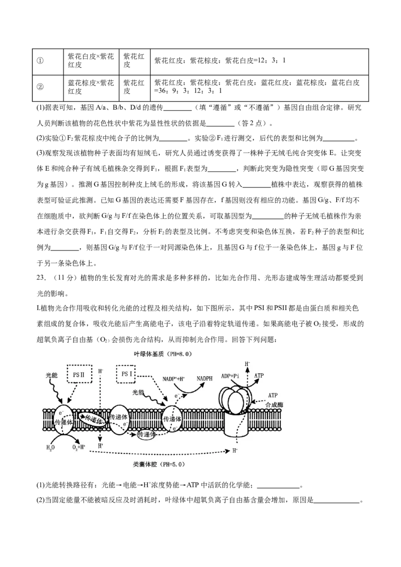 信息必刷卷05（黑吉辽蒙专用）（原卷版）_2025年新高考资料_2025考前信息卷_2025年高考生物考前信息必刷卷（黑吉辽蒙专用）34415095