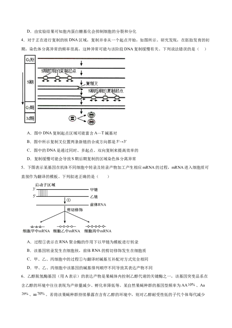 信息必刷卷05（黑吉辽蒙专用）（原卷版）_2025年新高考资料_2025考前信息卷_2025年高考生物考前信息必刷卷（黑吉辽蒙专用）34415095