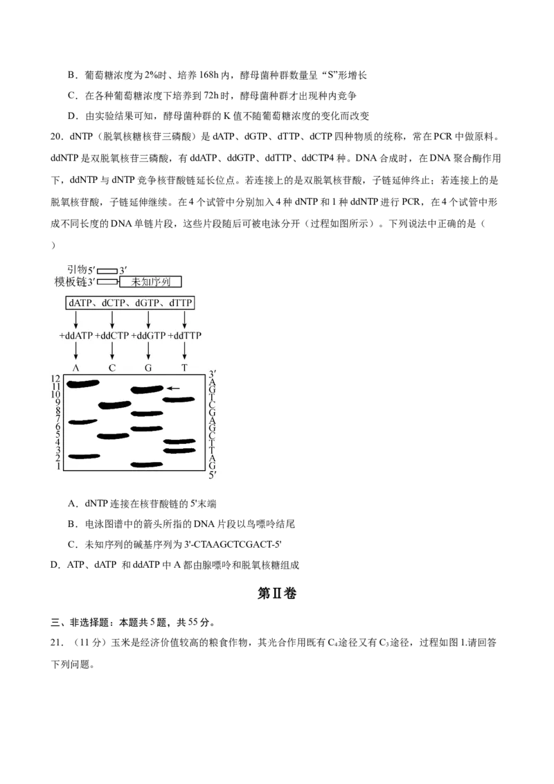 信息必刷卷05（黑吉辽蒙专用）（原卷版）_2025年新高考资料_2025考前信息卷_2025年高考生物考前信息必刷卷（黑吉辽蒙专用）34415095
