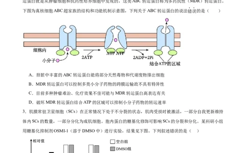 信息必刷卷05（黑吉辽蒙专用）（原卷版）_2025年新高考资料_2025考前信息卷_2025年高考生物考前信息必刷卷（黑吉辽蒙专用）34415095