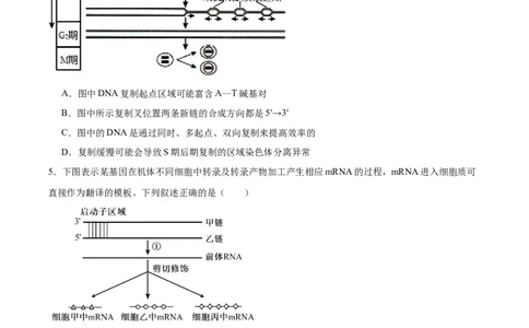 信息必刷卷05（黑吉辽蒙专用）（原卷版）_2025年新高考资料_2025考前信息卷_2025年高考生物考前信息必刷卷（黑吉辽蒙专用）34415095