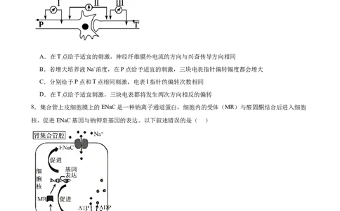 信息必刷卷05（黑吉辽蒙专用）（原卷版）_2025年新高考资料_2025考前信息卷_2025年高考生物考前信息必刷卷（黑吉辽蒙专用）34415095