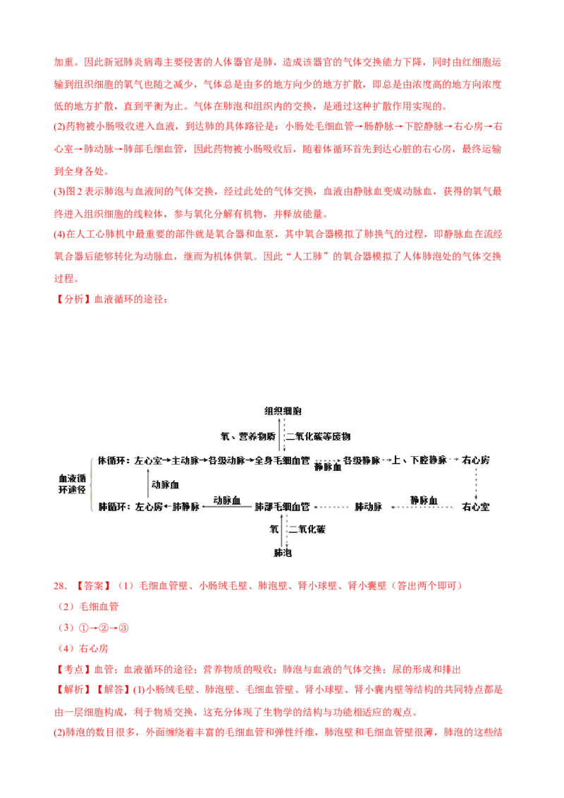 期末冲刺卷03-（人教版）（解析版）_初中全科电子版试卷练习试题_生物_生物人教版7下练习_人教生物7年级下期末试卷11份