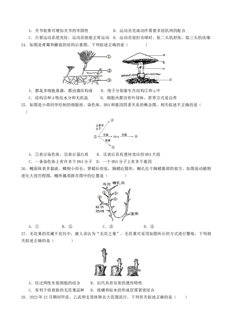 生物（云南卷）（考试版A4）_初中全科电子版试卷练习试题_生物_2024中考模拟题生物(1)_二模_生物（云南卷）-：2024年中考第二次模拟考试