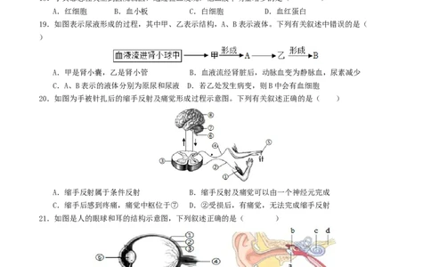 生物（云南卷）（考试版A4）_初中全科电子版试卷练习试题_生物_2024中考模拟题生物(1)_二模_生物（云南卷）-：2024年中考第二次模拟考试