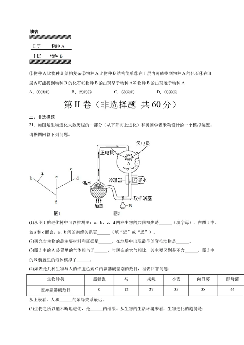 第三单元生命起源和生物进化（选拔卷）-单元测试（人教版）（原卷版）_初中全科电子版试卷练习试题_生物_生物8下练习_人教生物8年级下单元试卷38份