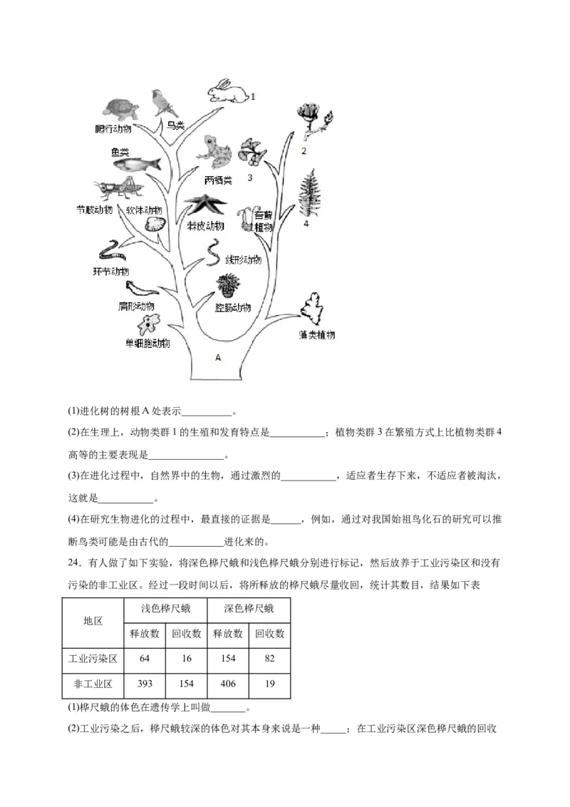第三单元生命起源和生物进化（选拔卷）-单元测试（人教版）（原卷版）_初中全科电子版试卷练习试题_生物_生物8下练习_人教生物8年级下单元试卷38份