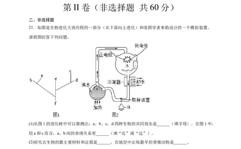 第三单元生命起源和生物进化（选拔卷）-单元测试（人教版）（原卷版）_初中全科电子版试卷练习试题_生物_生物8下练习_人教生物8年级下单元试卷38份