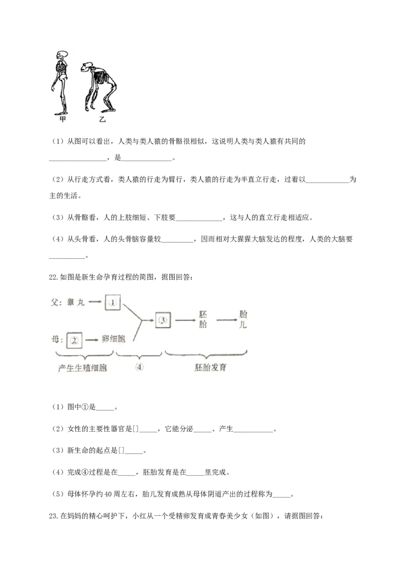 第一章人的由来（基础过关）-（人教版）（原卷版）_初中全科电子版试卷练习试题_生物_生物人教版7下练习_人教生物7年级下单元试卷33份