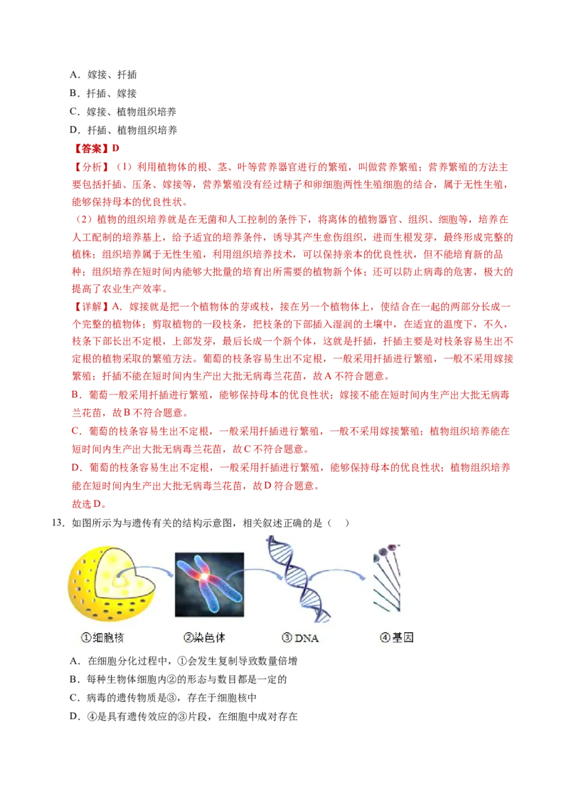 生物（河南卷）（全解全析）_初中全科电子版试卷练习试题_生物_2024中考模拟题生物(1)_一模_生物（河南卷）-2024年中考第一次模拟考试
