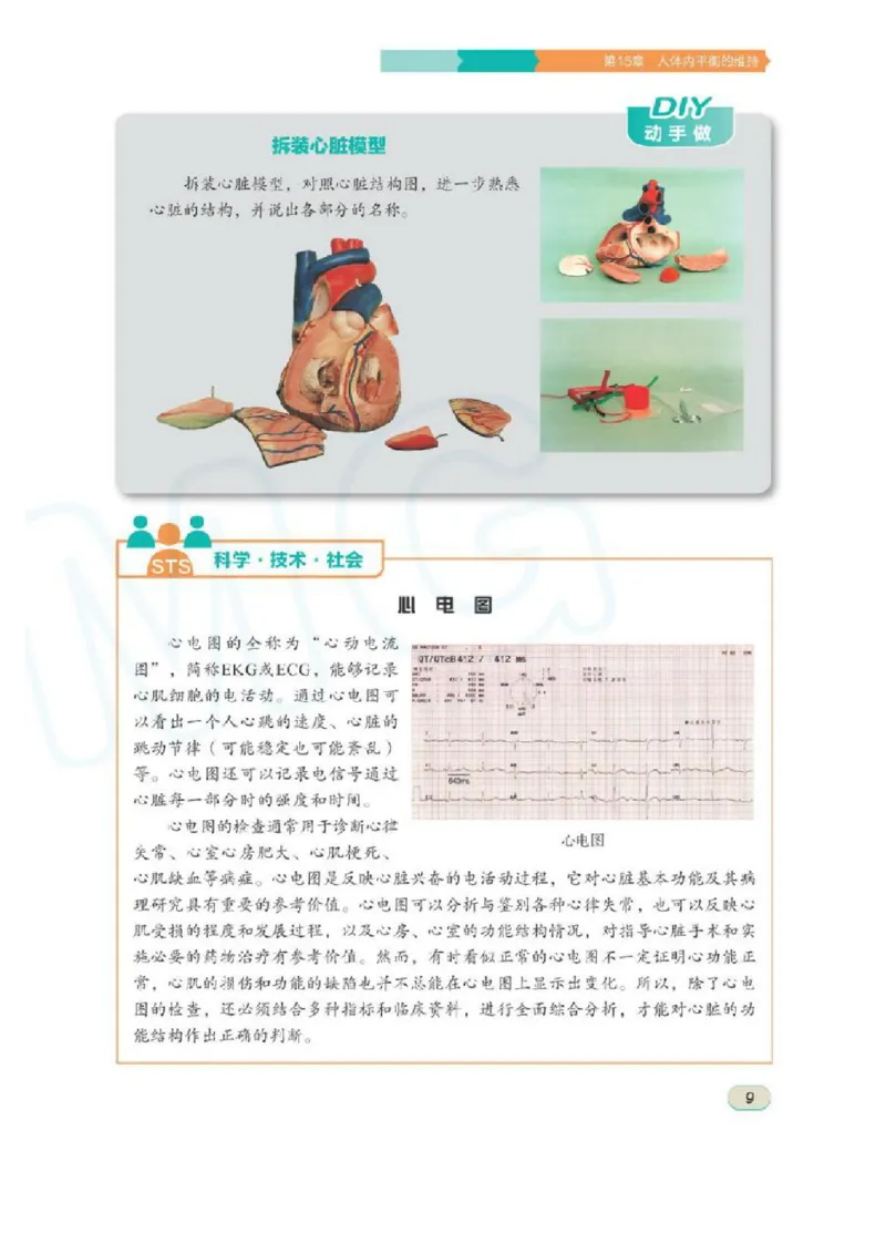 苏科版生物八年级上册_初中电子课本_9.生物_苏科版