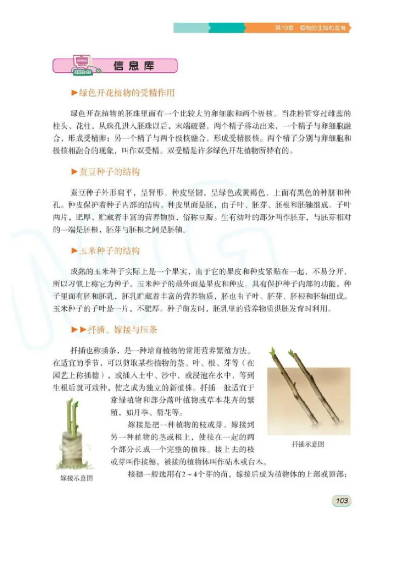 苏科版生物八年级上册_初中电子课本_9.生物_苏科版