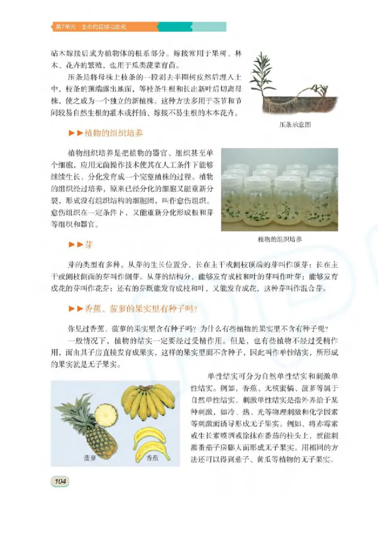 苏科版生物八年级上册_初中电子课本_9.生物_苏科版