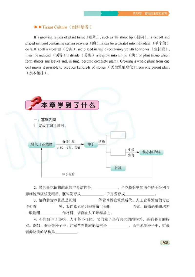 苏科版生物八年级上册_初中电子课本_9.生物_苏科版