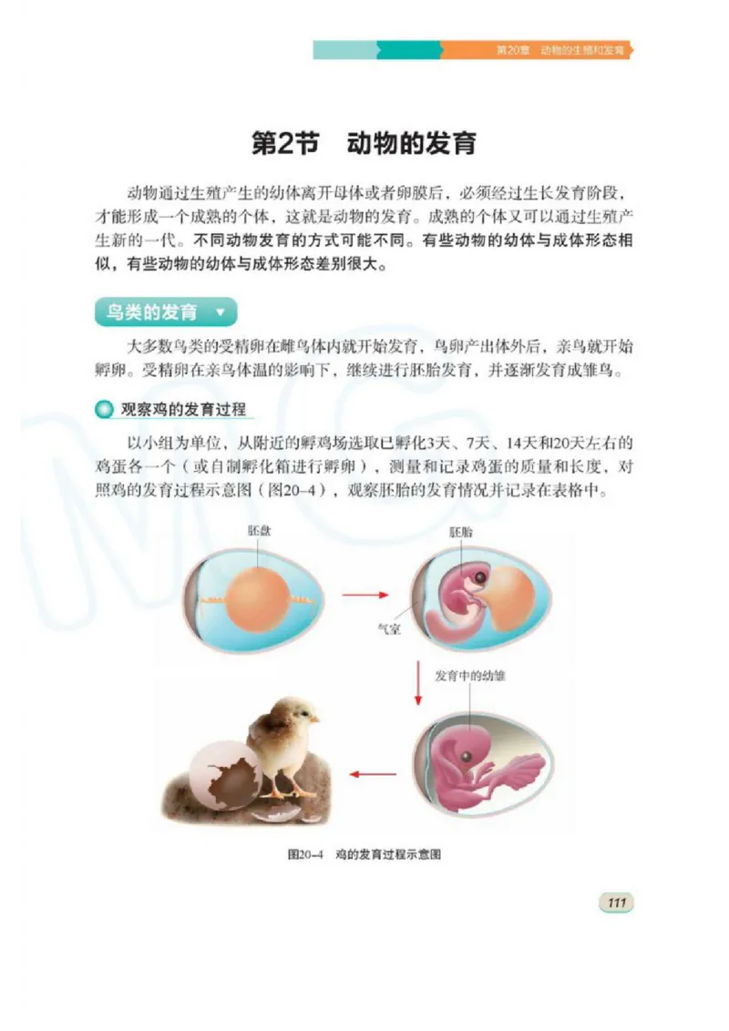 苏科版生物八年级上册_初中电子课本_9.生物_苏科版