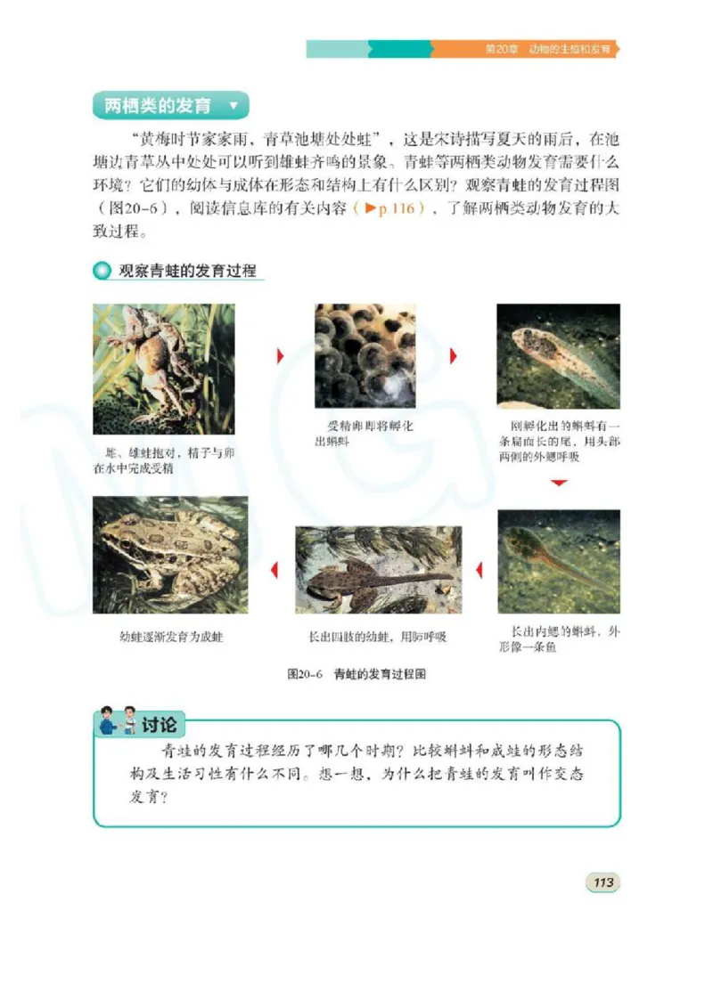 苏科版生物八年级上册_初中电子课本_9.生物_苏科版