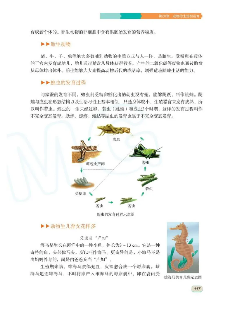 苏科版生物八年级上册_初中电子课本_9.生物_苏科版