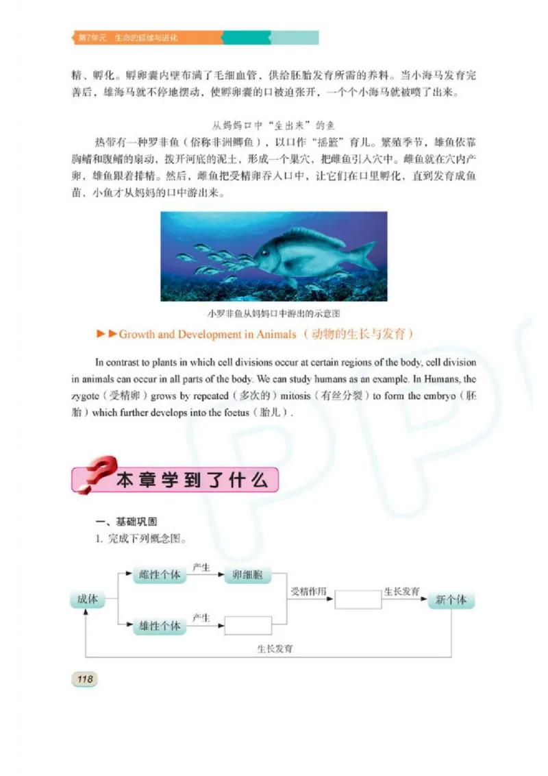 苏科版生物八年级上册_初中电子课本_9.生物_苏科版